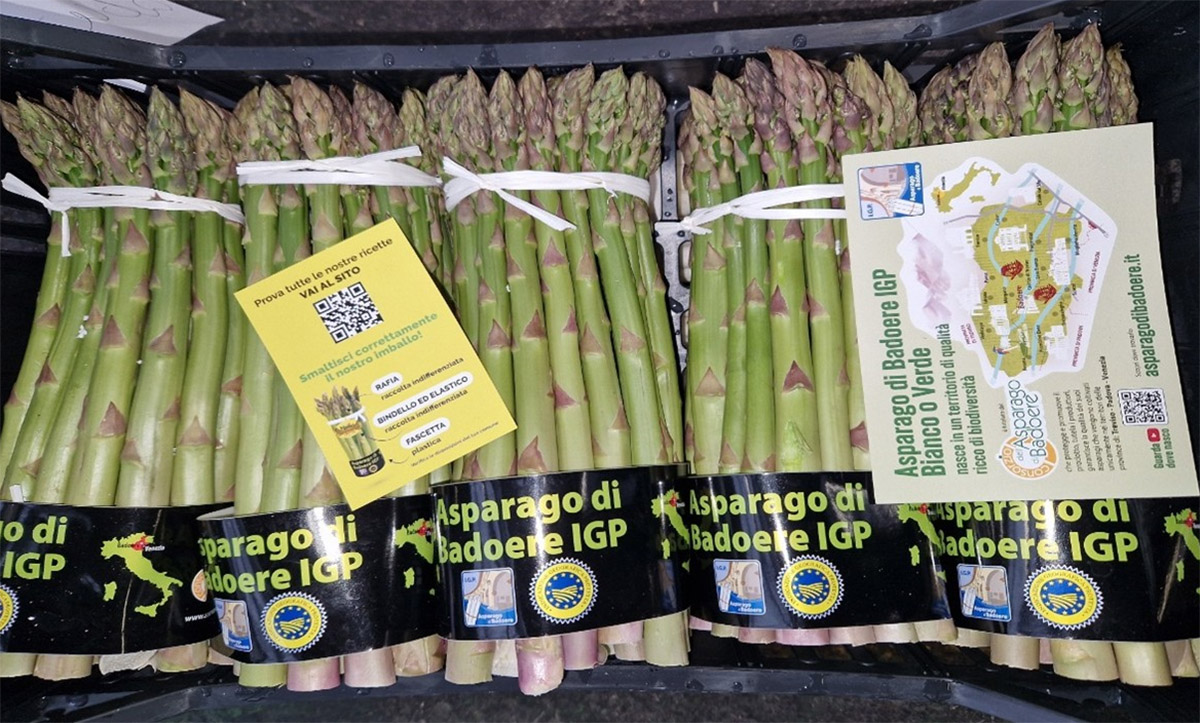 Asparago verde - Veneto, calibro 16/20 - 6/7 €/kg